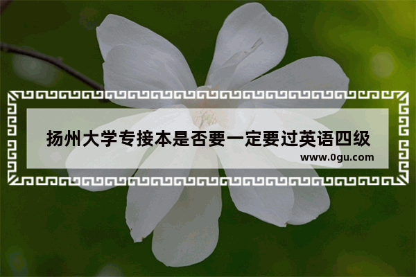 扬州大学专接本是否要一定要过英语四级