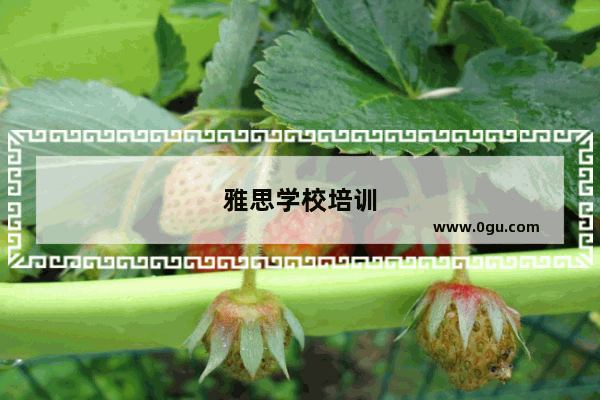 雅思学校培训