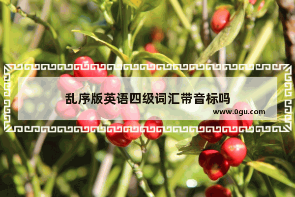 乱序版英语四级词汇带音标吗