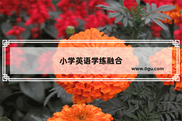 小学英语学练融合