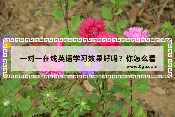 一对一在线英语学习效果好吗？你怎么看