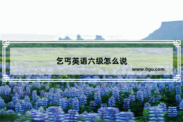 乞丐英语六级怎么说