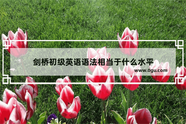 剑桥初级英语语法相当于什么水平