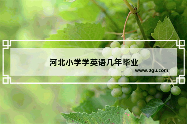 河北小学学英语几年毕业