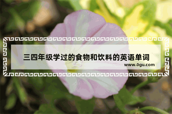 三四年级学过的食物和饮料的英语单词