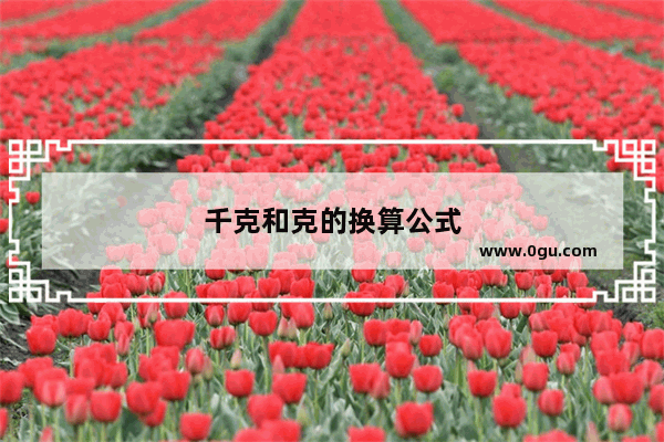 千克和克的换算公式