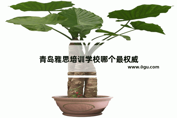 青岛雅思培训学校哪个最权威