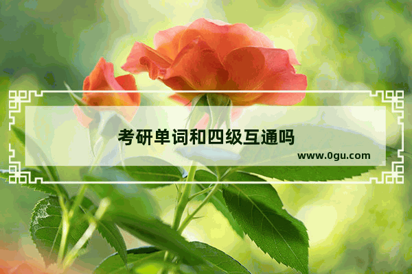 考研单词和四级互通吗