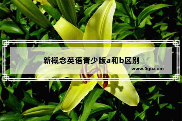 新概念英语青少版a和b区别