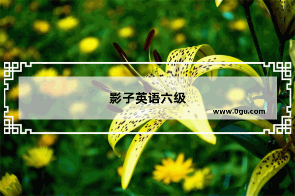 影子英语六级