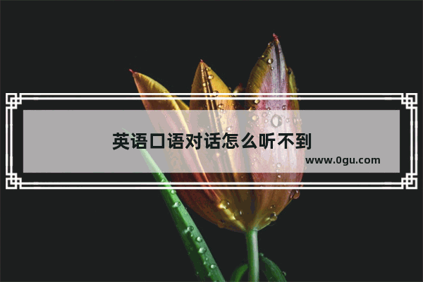 英语口语对话怎么听不到