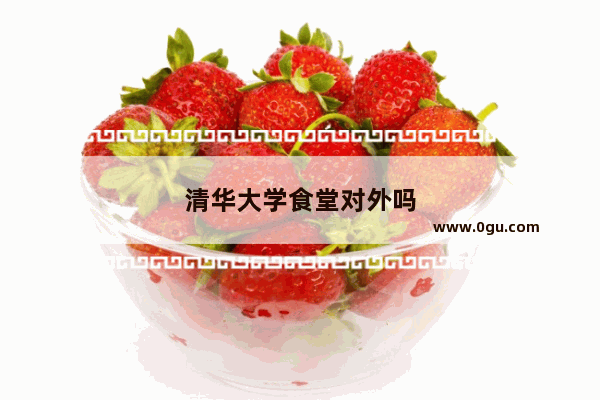 清华大学食堂对外吗