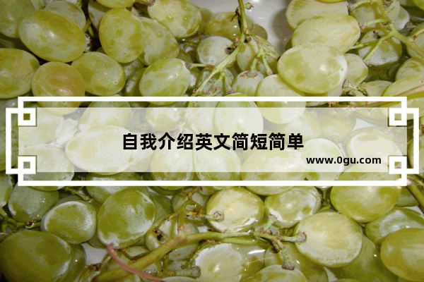 自我介绍英文简短简单