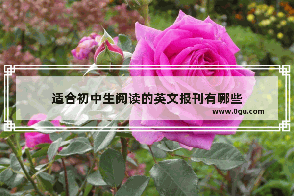 适合初中生阅读的英文报刊有哪些