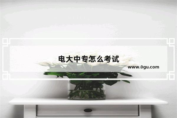 电大中专怎么考试