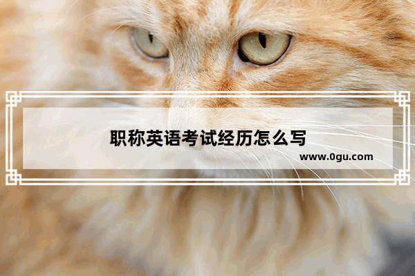 职称英语考试经历怎么写