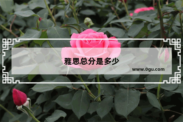 雅思总分是多少