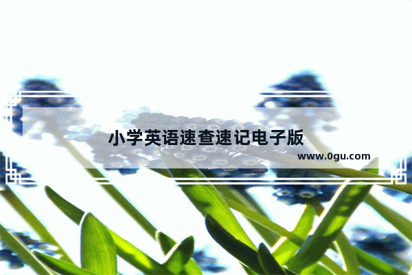小学英语速查速记电子版