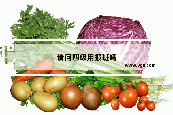 请问四级用报班吗