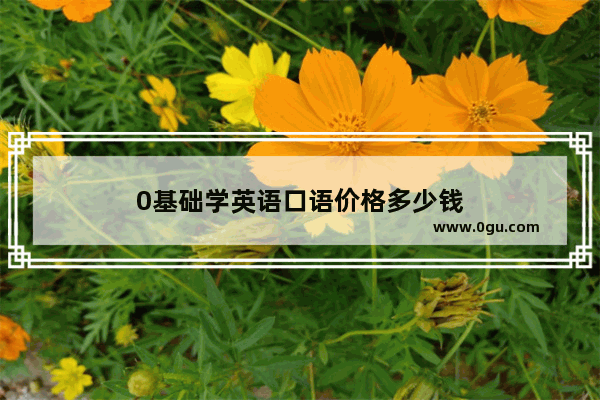 0基础学英语口语价格多少钱