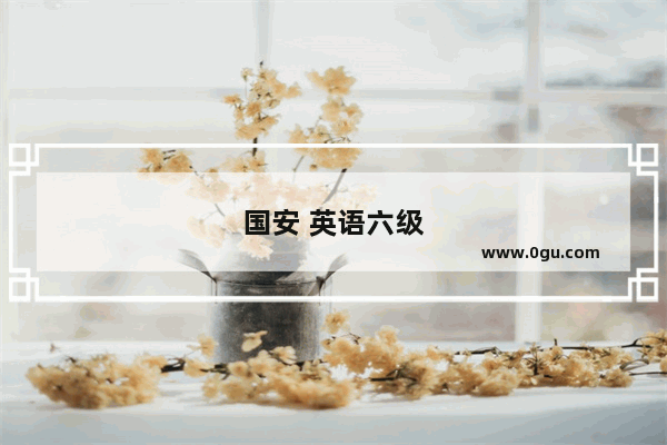 国安 英语六级