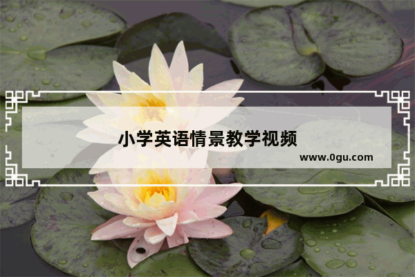 小学英语情景教学视频