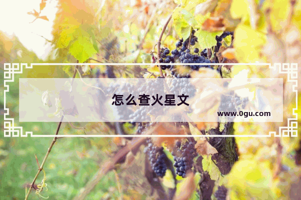 怎么查火星文