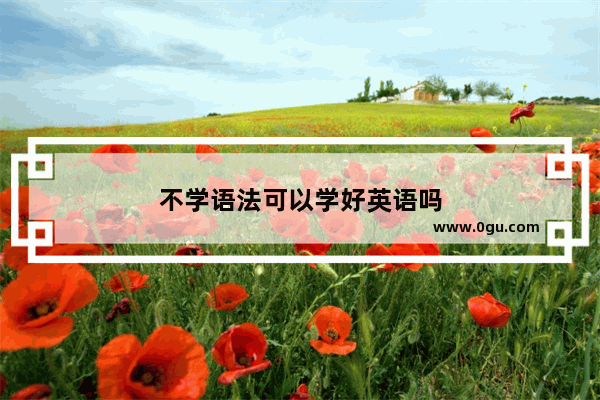 不学语法可以学好英语吗