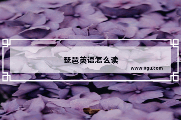 琵琶英语怎么读