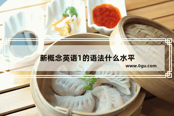 新概念英语1的语法什么水平