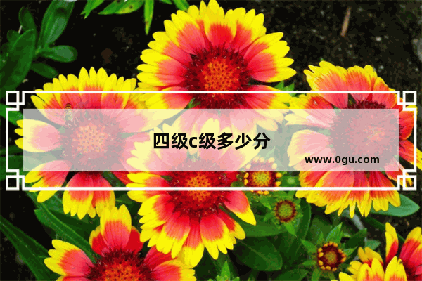 四级c级多少分