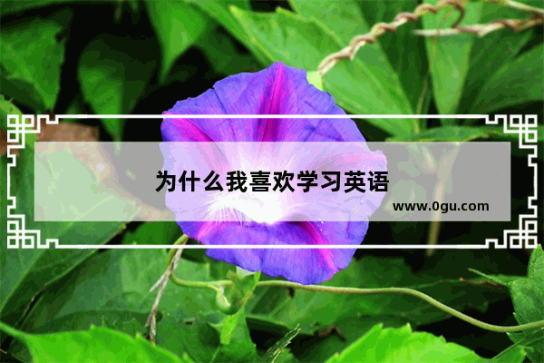 为什么我喜欢学习英语