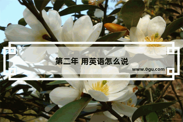 第二年 用英语怎么说