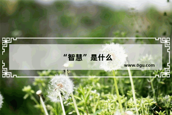 “智慧”是什么
