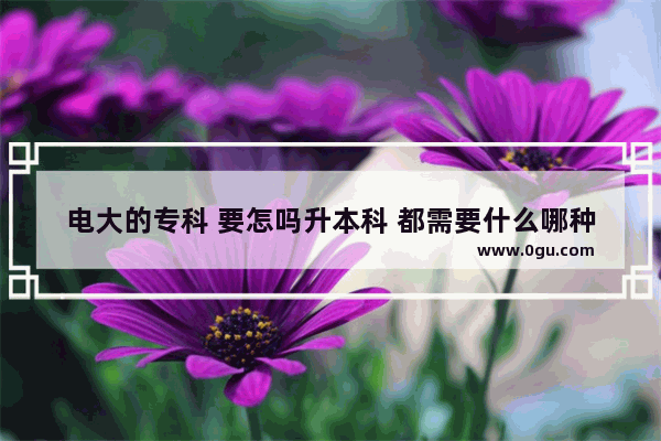 电大的专科 要怎吗升本科 都需要什么哪种升本应是好啊