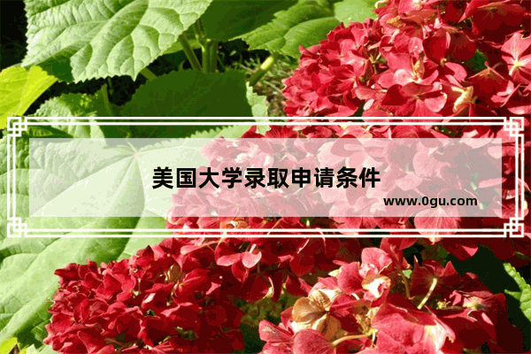 美国大学录取申请条件