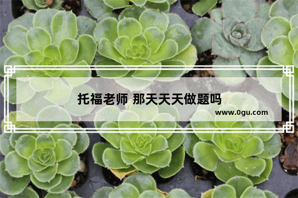 托福老师 那天天天做题吗