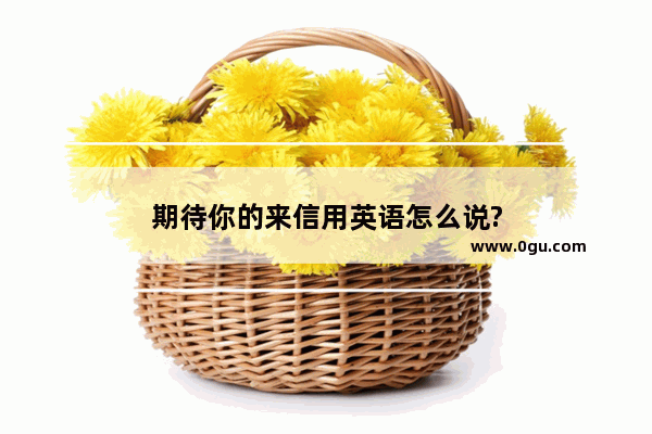 期待你的来信用英语怎么说?