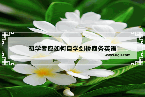 初学者应如何自学剑桥商务英语