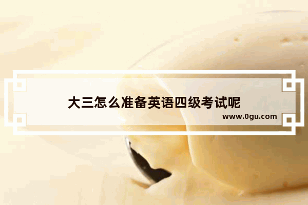 大三怎么准备英语四级考试呢