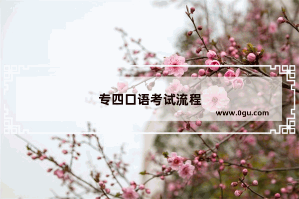 专四口语考试流程
