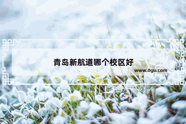 青岛新航道哪个校区好