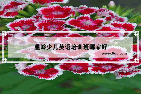 温岭少儿英语培训班哪家好