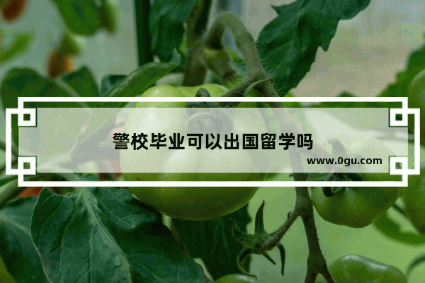 警校毕业可以出国留学吗