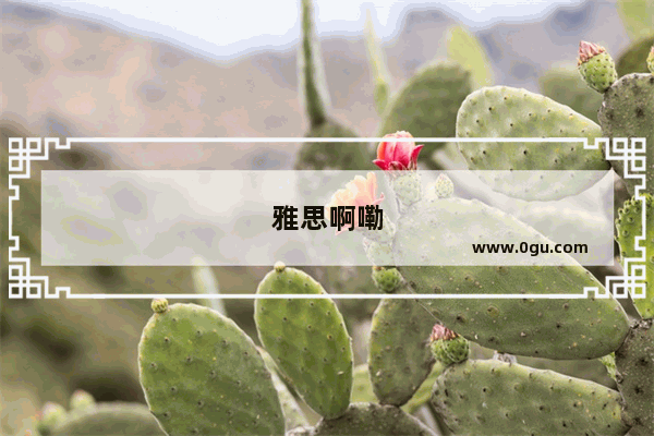 雅思啊嘞