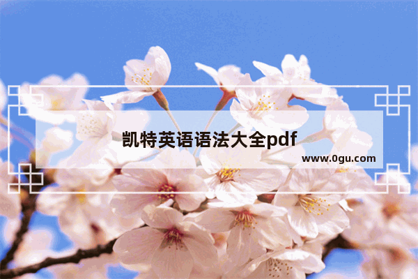 凯特英语语法大全pdf