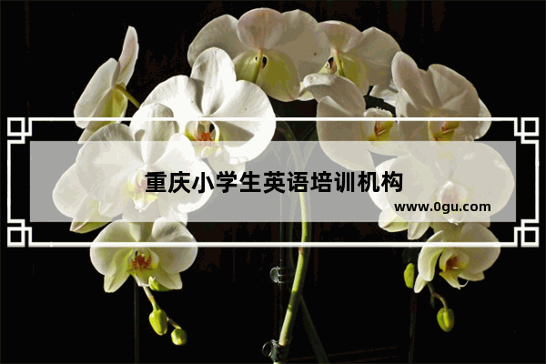 重庆小学生英语培训机构
