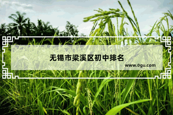 无锡市梁溪区初中排名