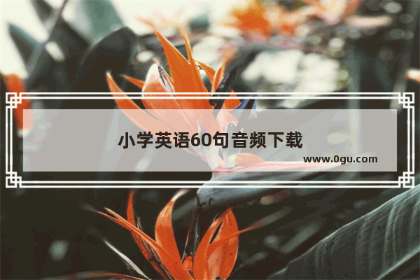 小学英语60句音频下载