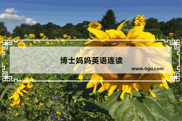 博士妈妈英语连读